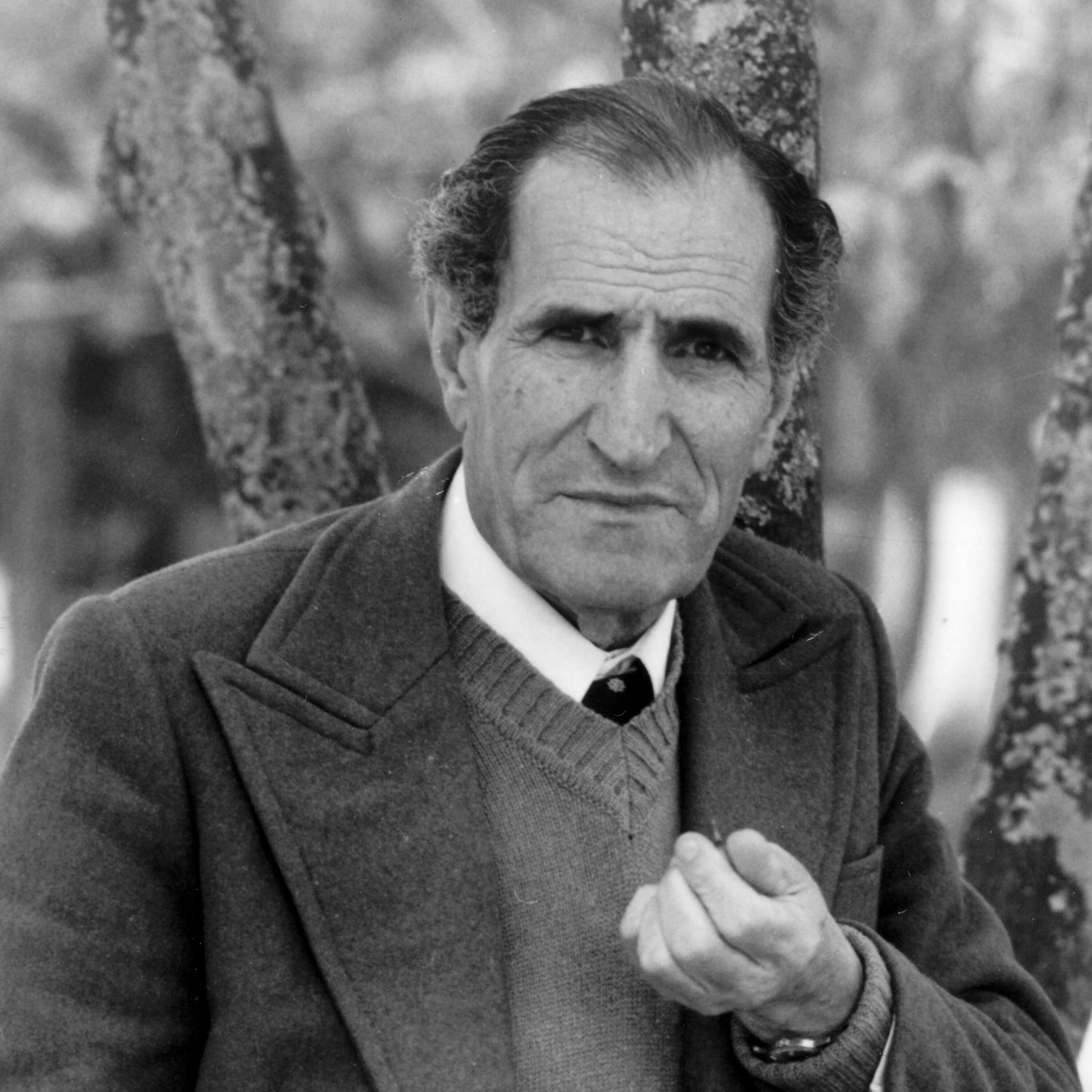 Miguel Torga (1907-1995)