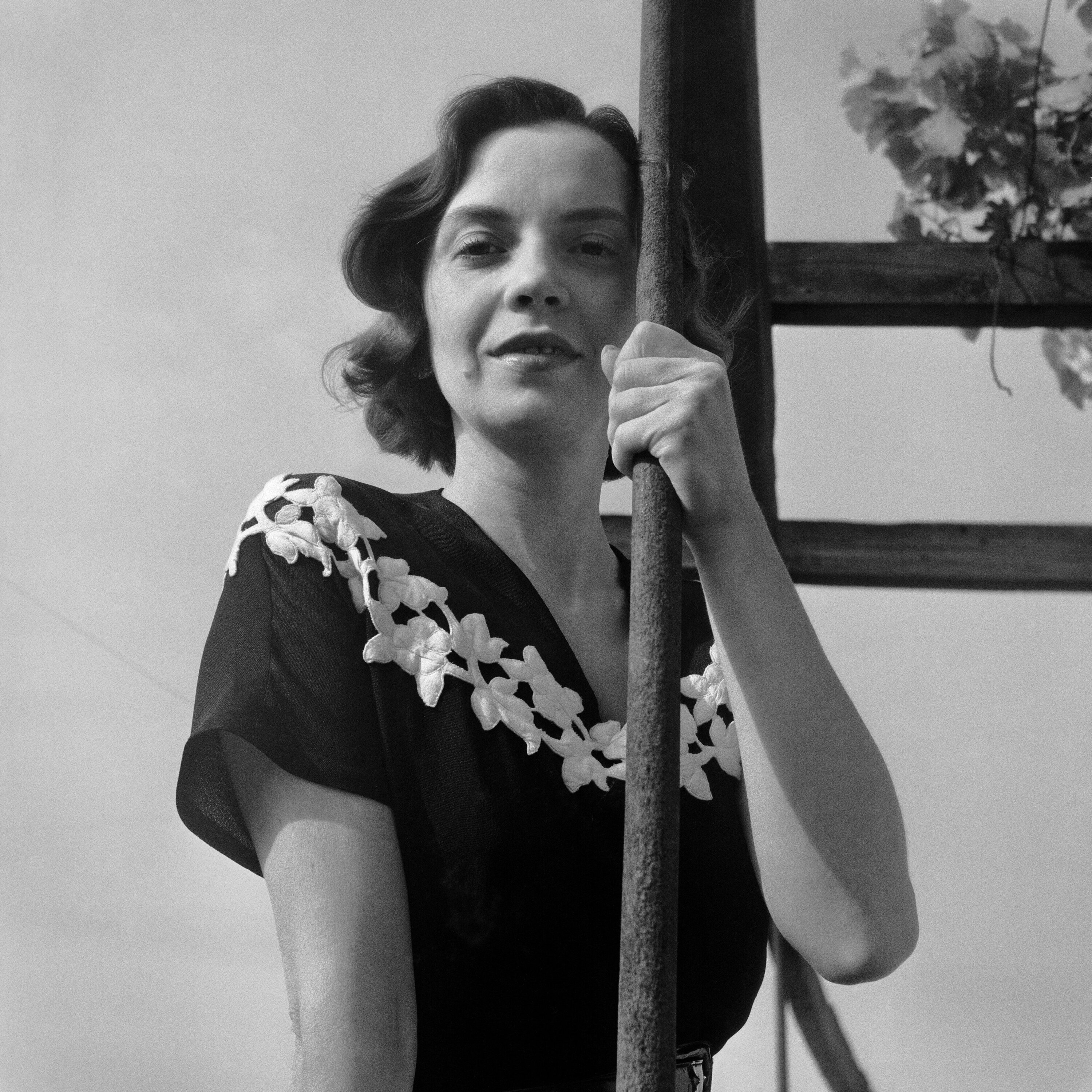 Sophia de Mello Breyner Andresen (1919-2004)