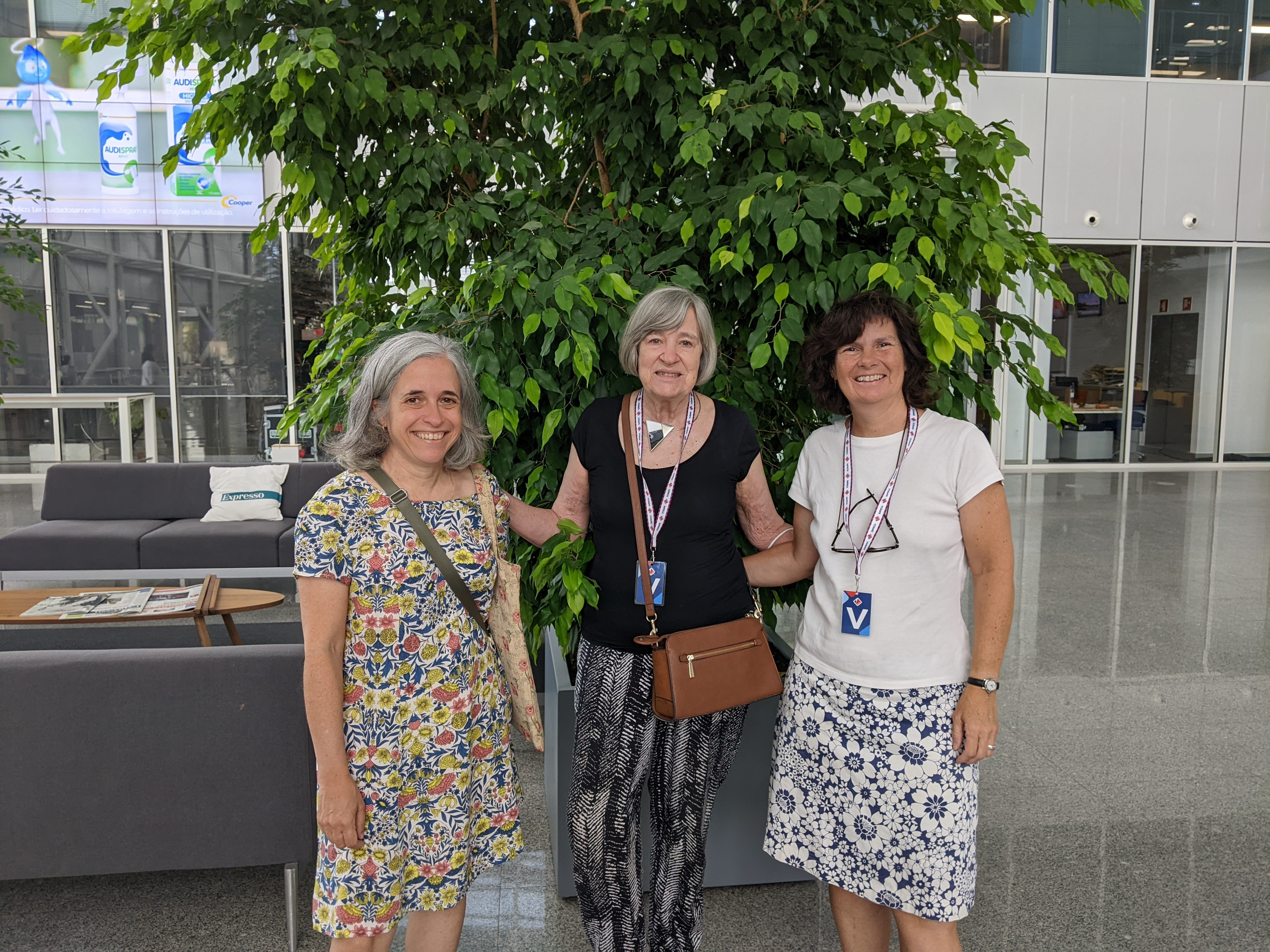 Helena Roseta: “A energia das pessoas é mais importante que o dinheiro”