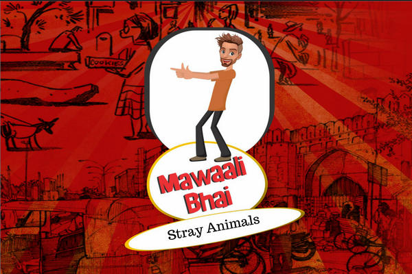Mawaali Bhai Water for Stray Animals episode artwork