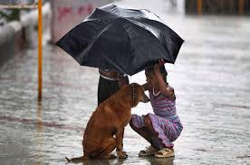 Rj Dhrumil in conversation with a person who saved dog in waterlogged area episode artwork