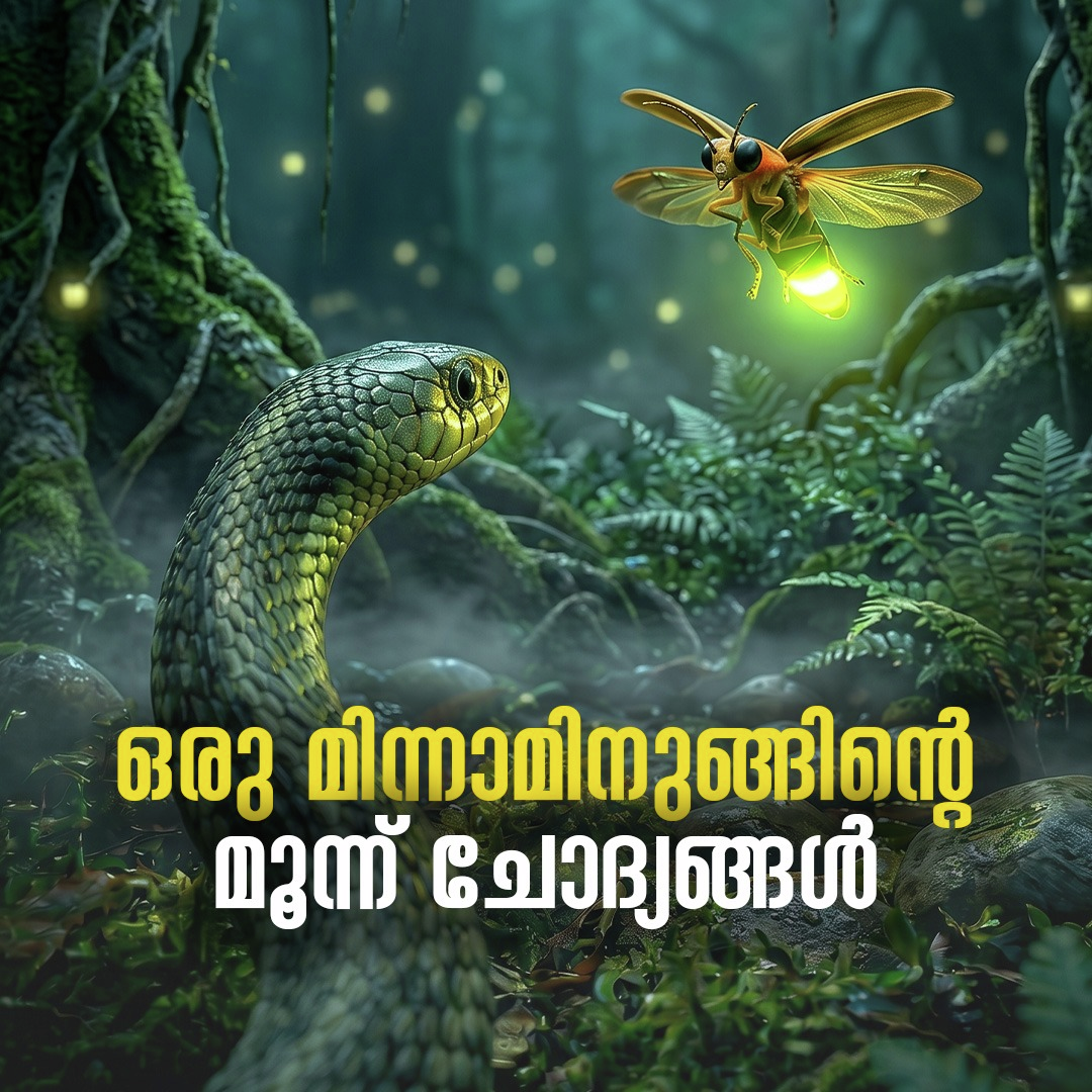 ഒരു മിന്നാമിനുങ്ങിന്റെ മൂന്ന് ചോദ്യങ്ങൾ episode artwork