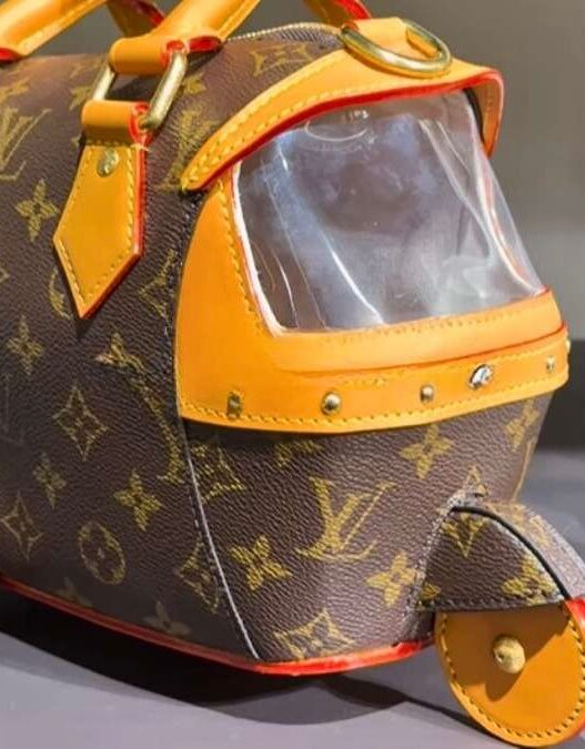 Malishka Finds Out: Bag Mehenga Ya Auto?