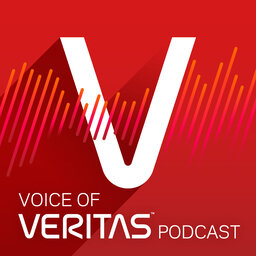 Data Protection Success with Veritas and Virtex Partnership
