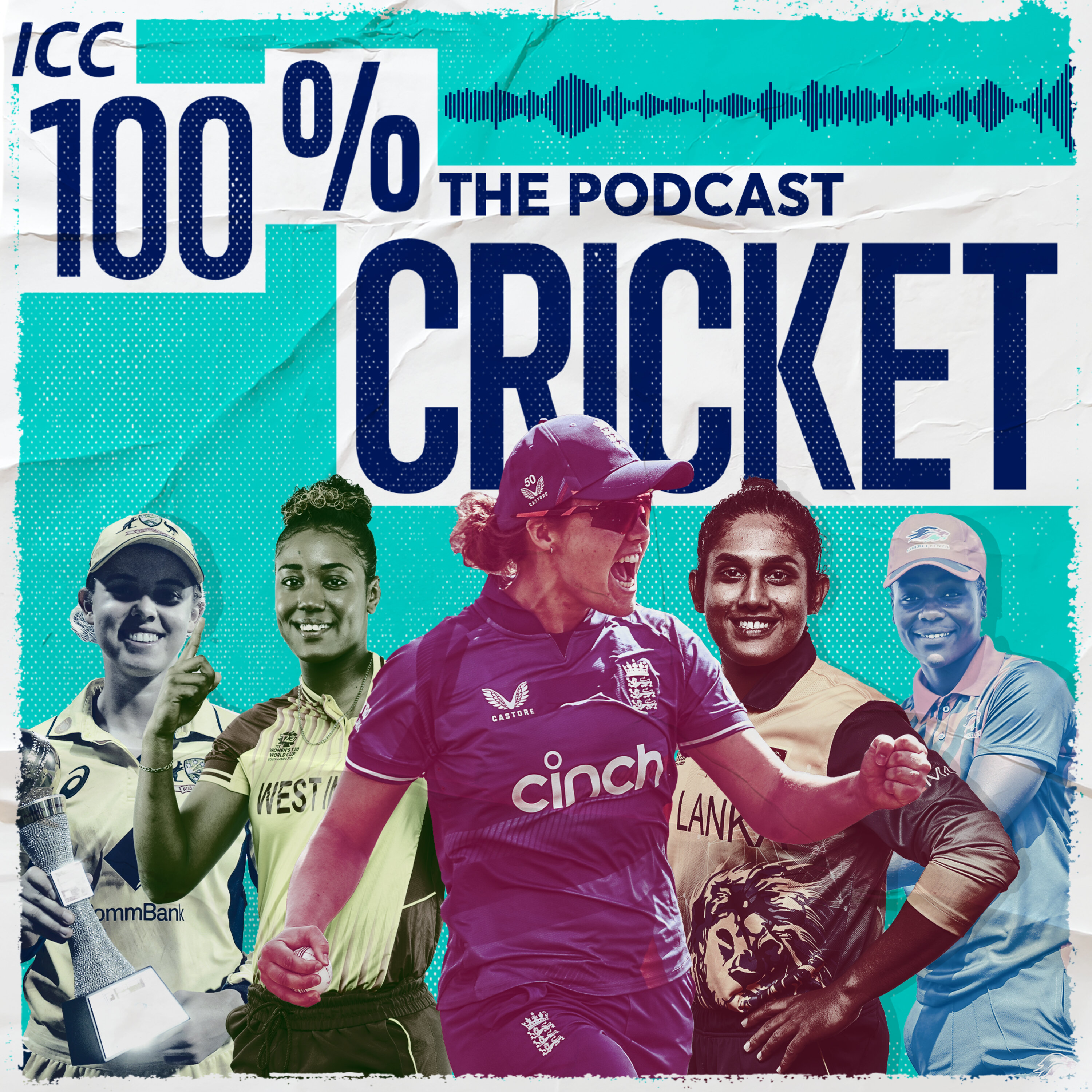 100% Cricket