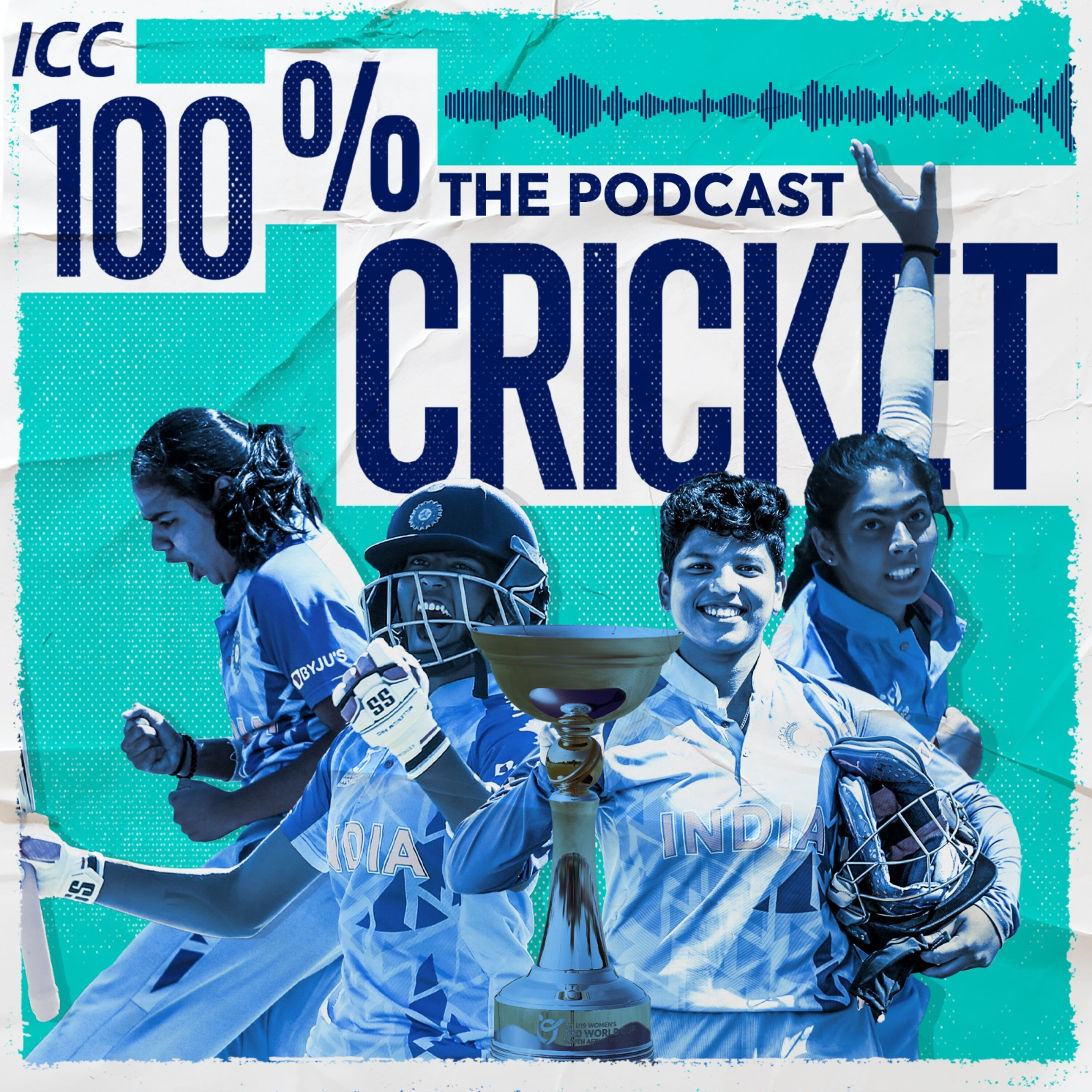 100% Cricket