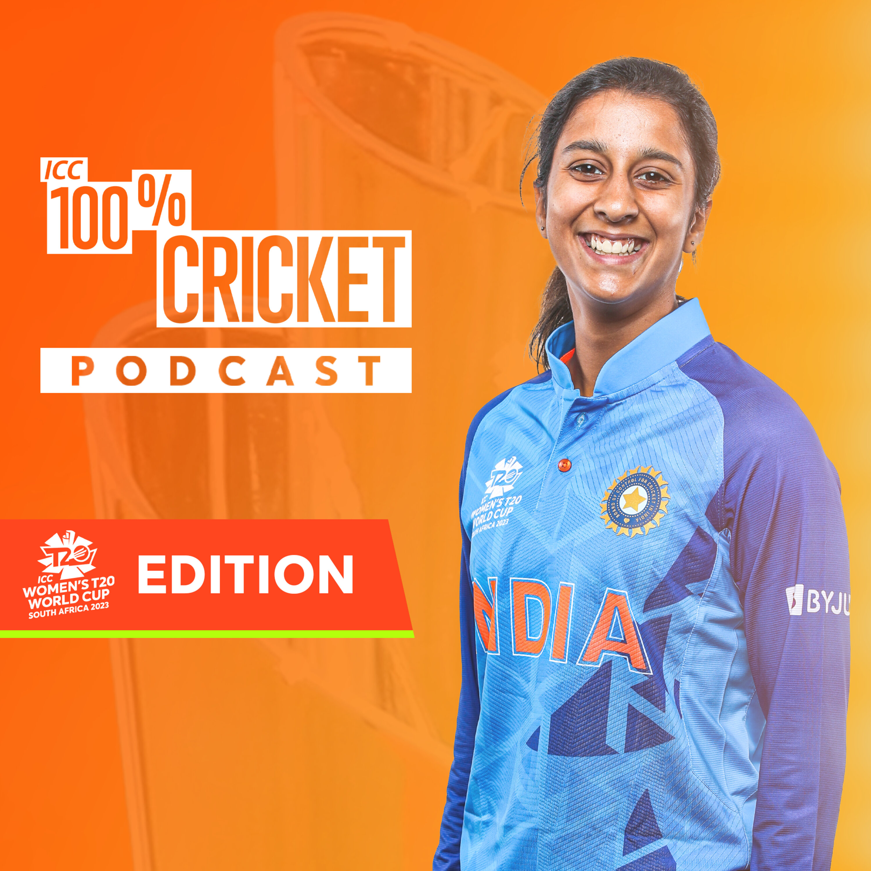 100% Cricket