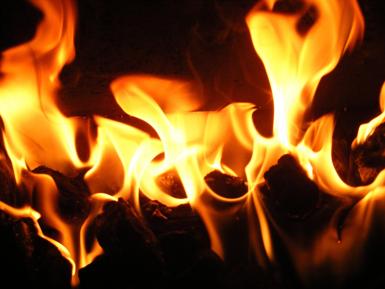 5MM UNPOPPYWOPPY - DON'T FOLLOW YOUR PASSION episode artwork