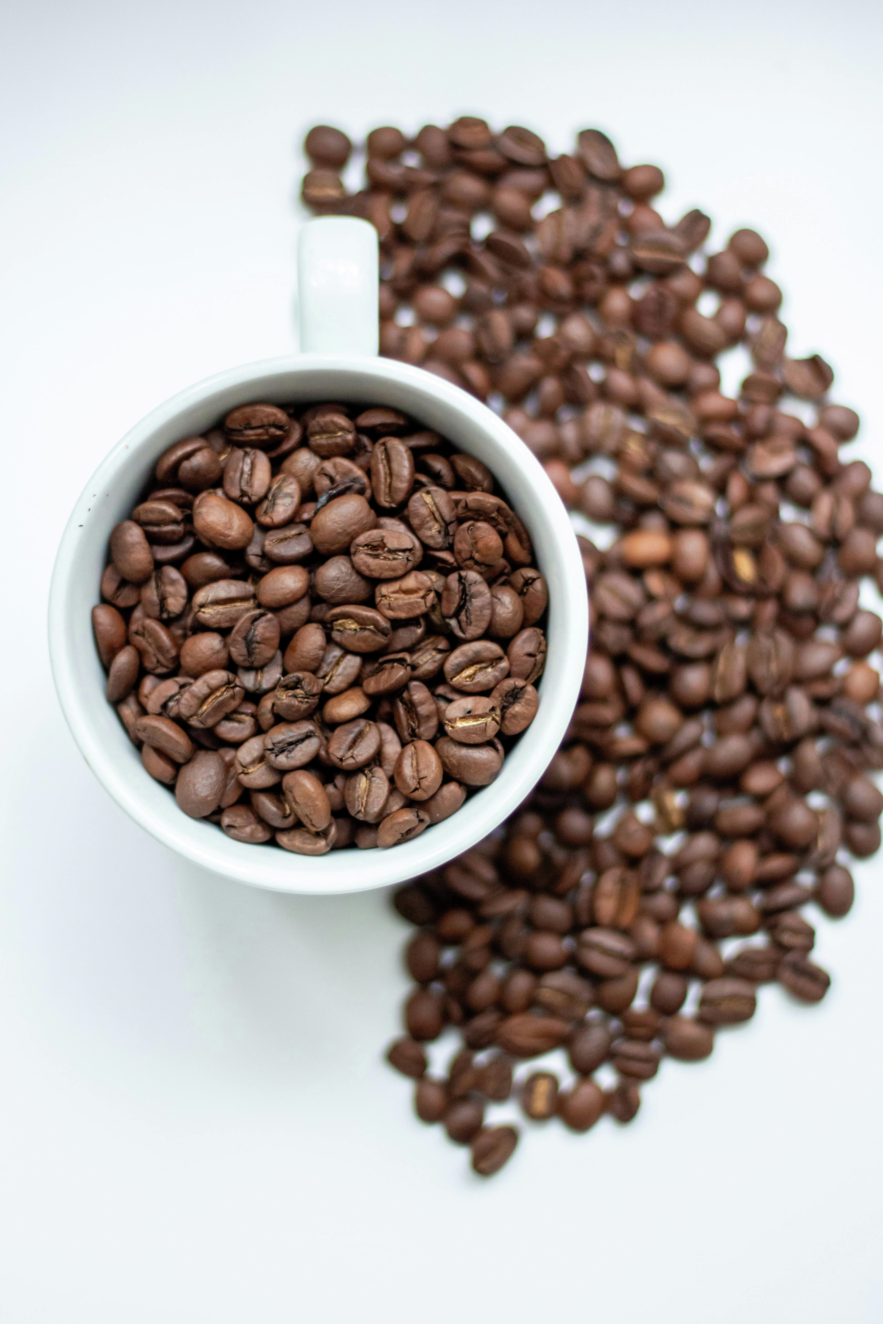 5MM KARABOS COFFEE MAKING SKILLS episode artwork