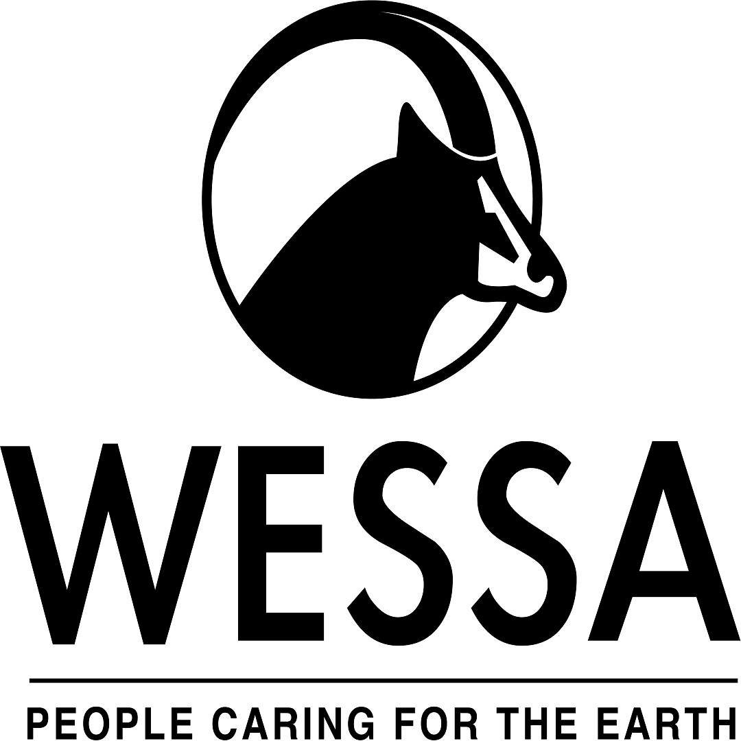 YB5 with  WESSA episode artwork