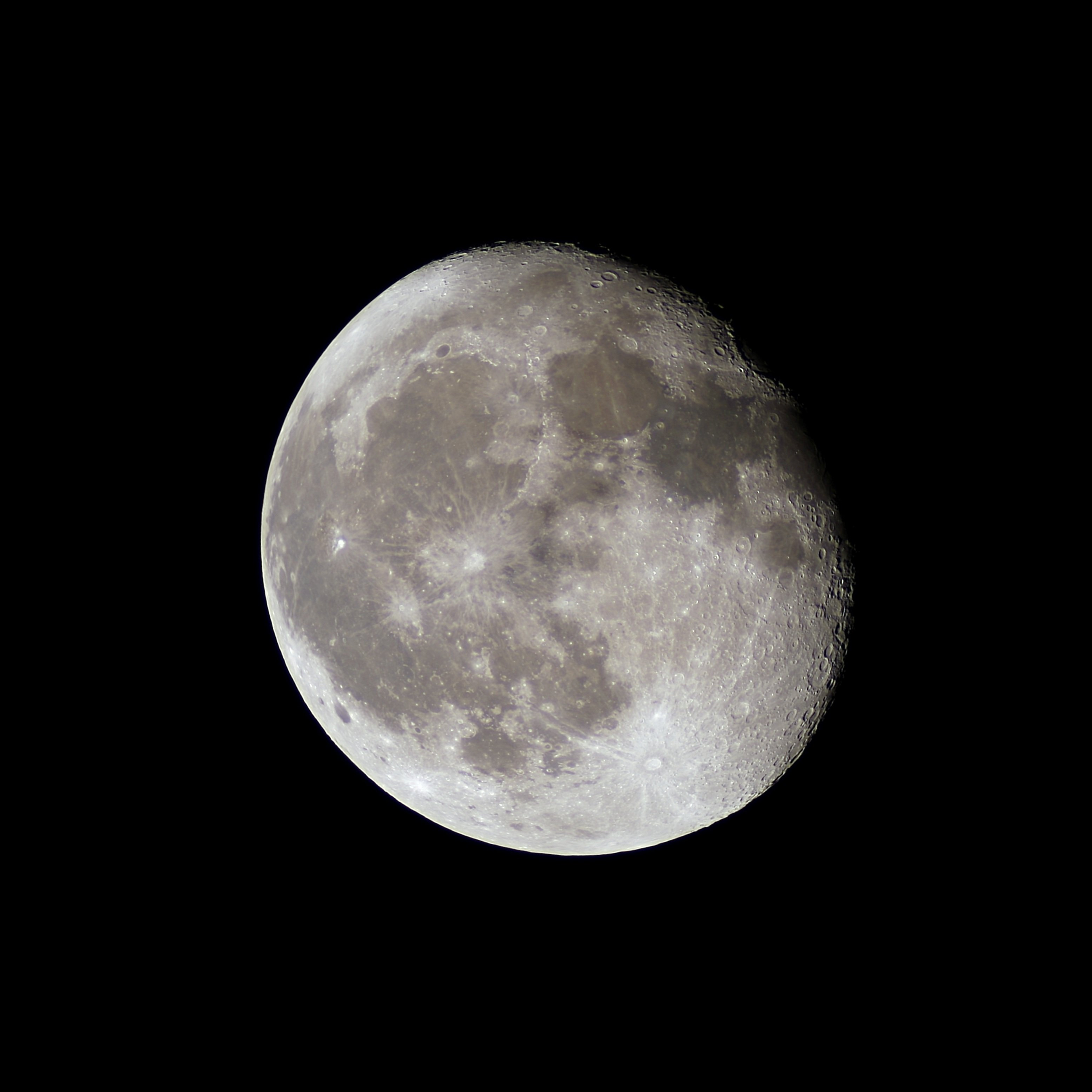 5WB MOST NB PERSON - DR ADRIANA MARAIS