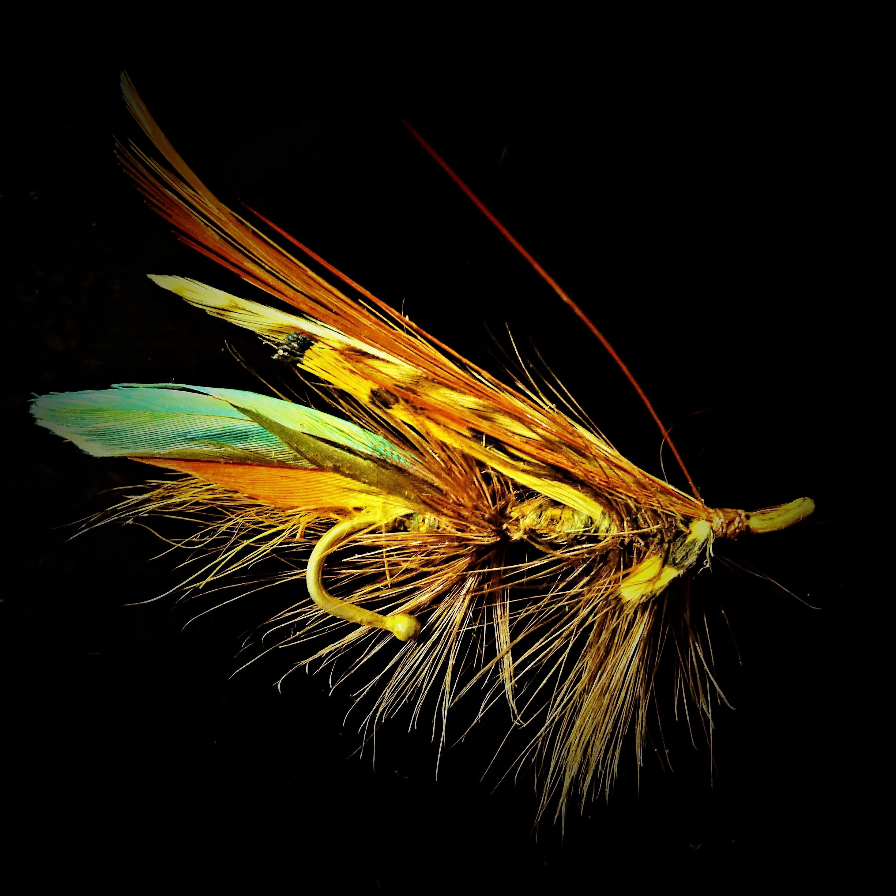 5WB THE LOCKER ROOM - SA Women’s Fly Fishing episode artwork