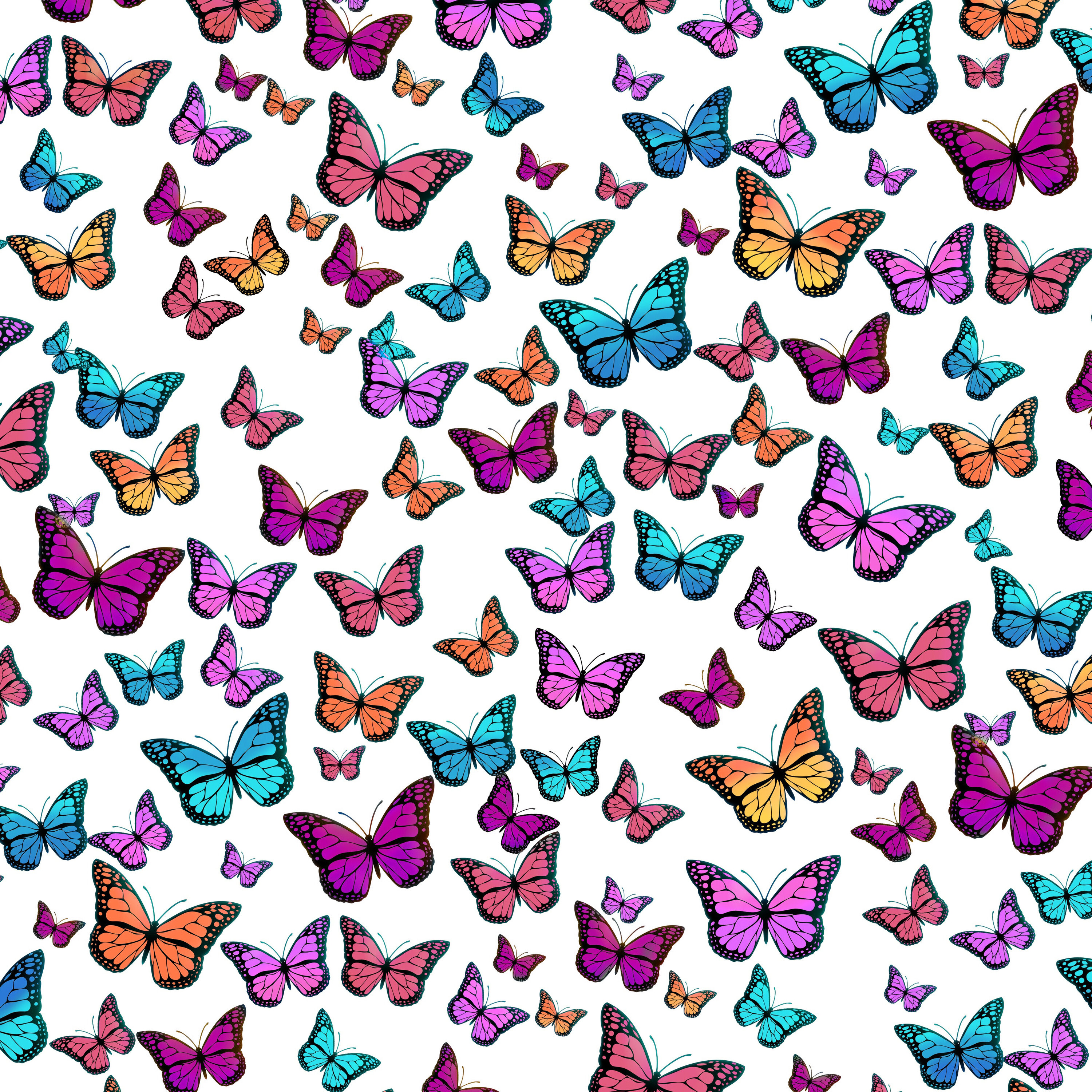 5N WTF - What's more attractive to you: butterflies or stability? episode artwork