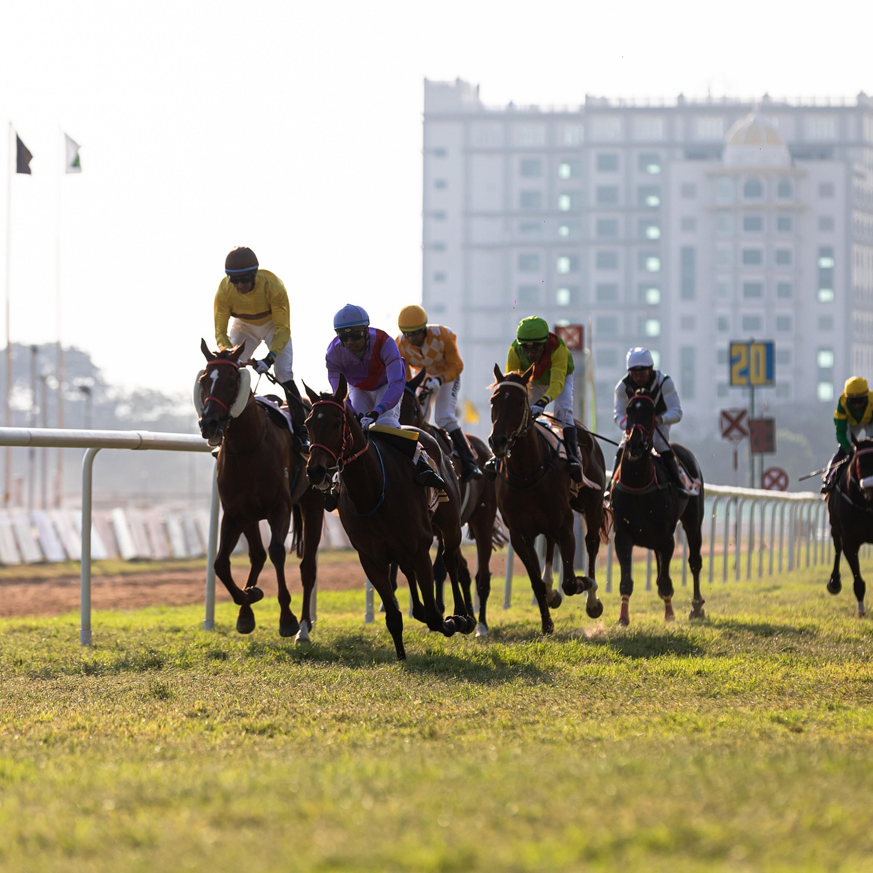 5N War-Room:Take Out a Loan to Attend Durban July?