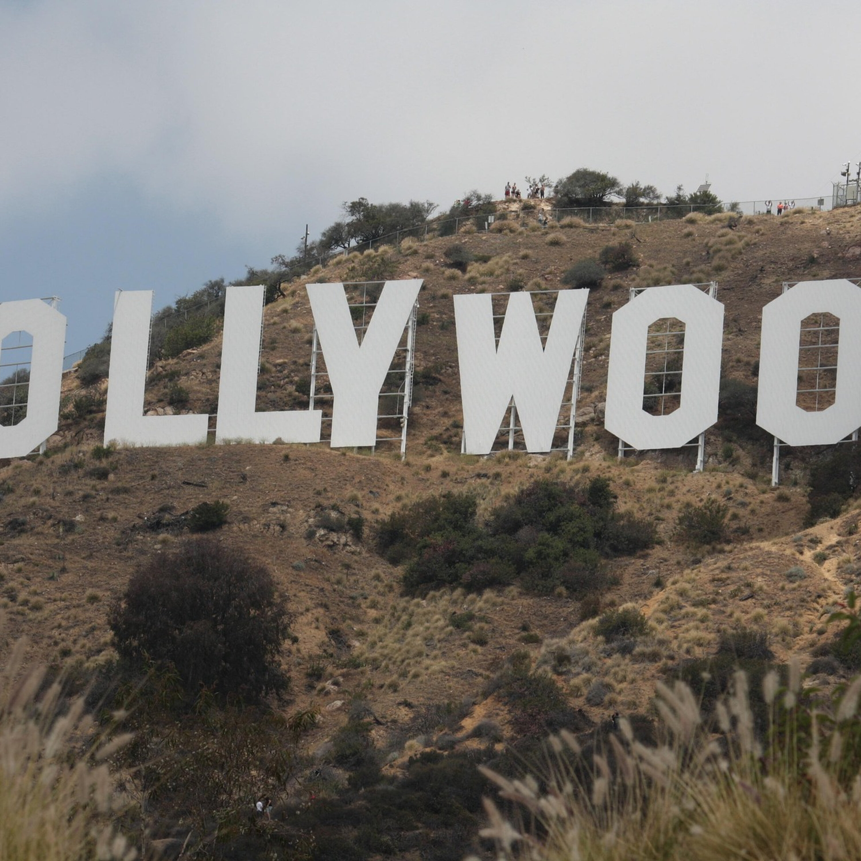 5N WTF - Hollywood's Their Crazy Contract Clauses