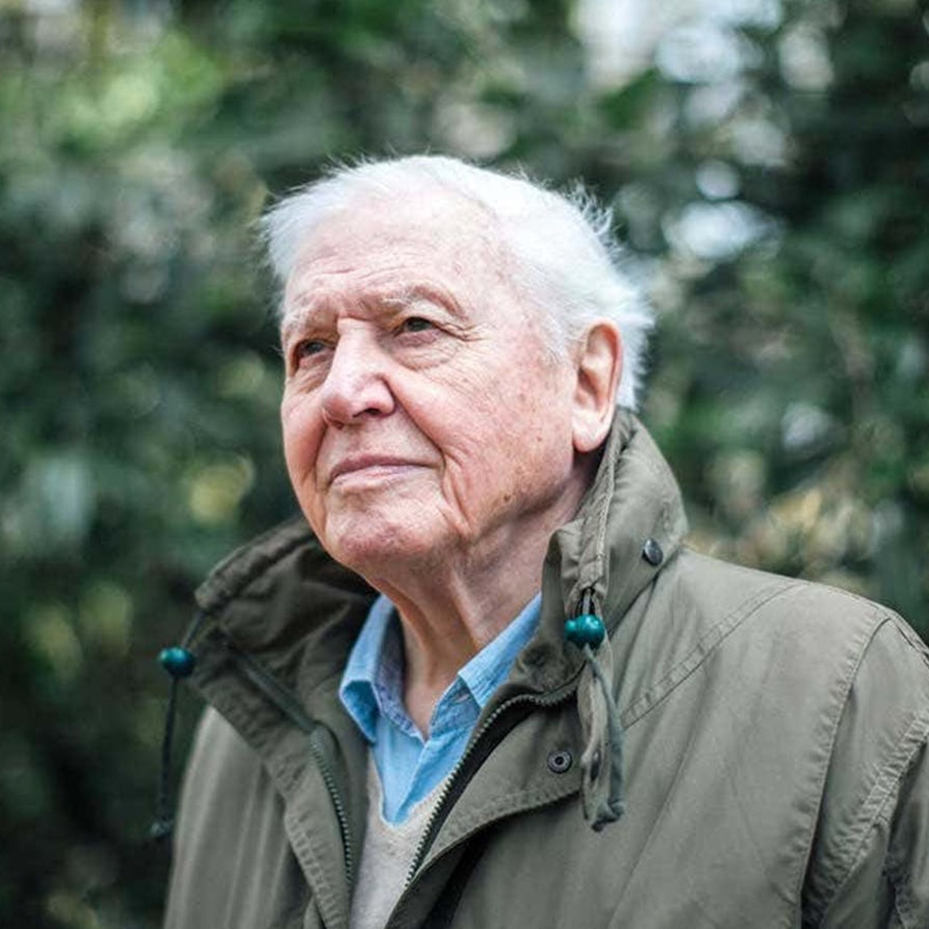 David Attenborough helps us understand the Gauteng Earthquake