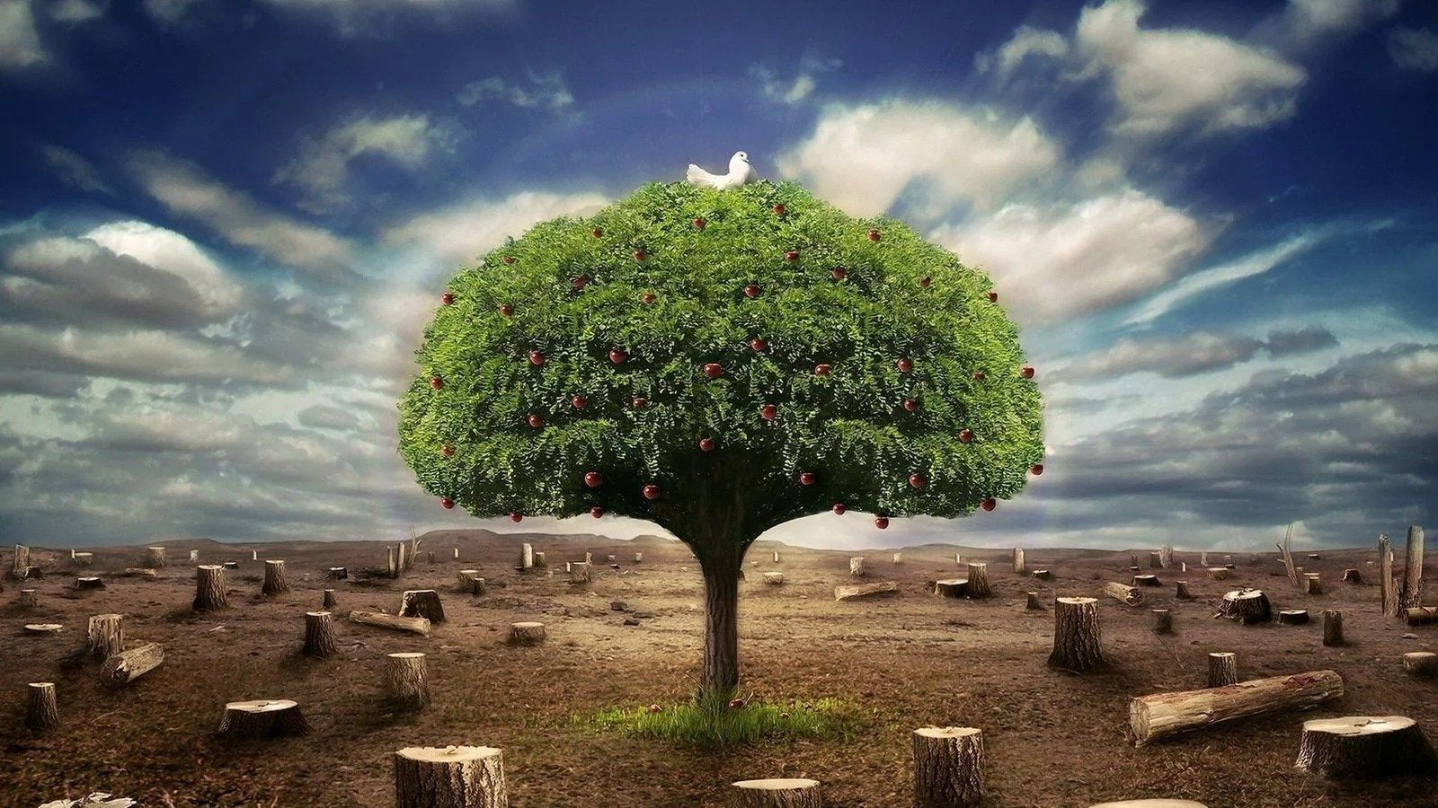 March Goes Green - The Story of Wangari Maathai episode artwork
