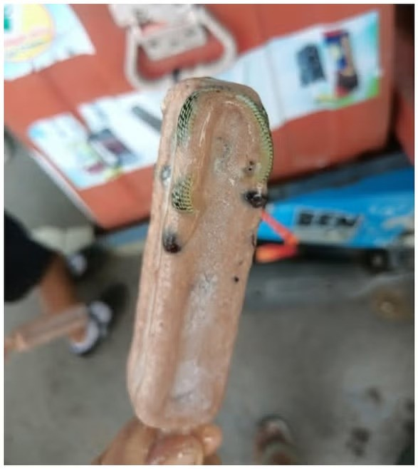 When Your Ice Cream Comes With A Side Of...Snake! episode artwork