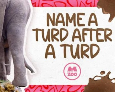 Roses Are Red, Elephants Are... Pooping! The Best Valentine's Day Gifts From A Zoo episode artwork