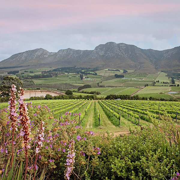 Die Hemel-en-Aarde-vallei roep