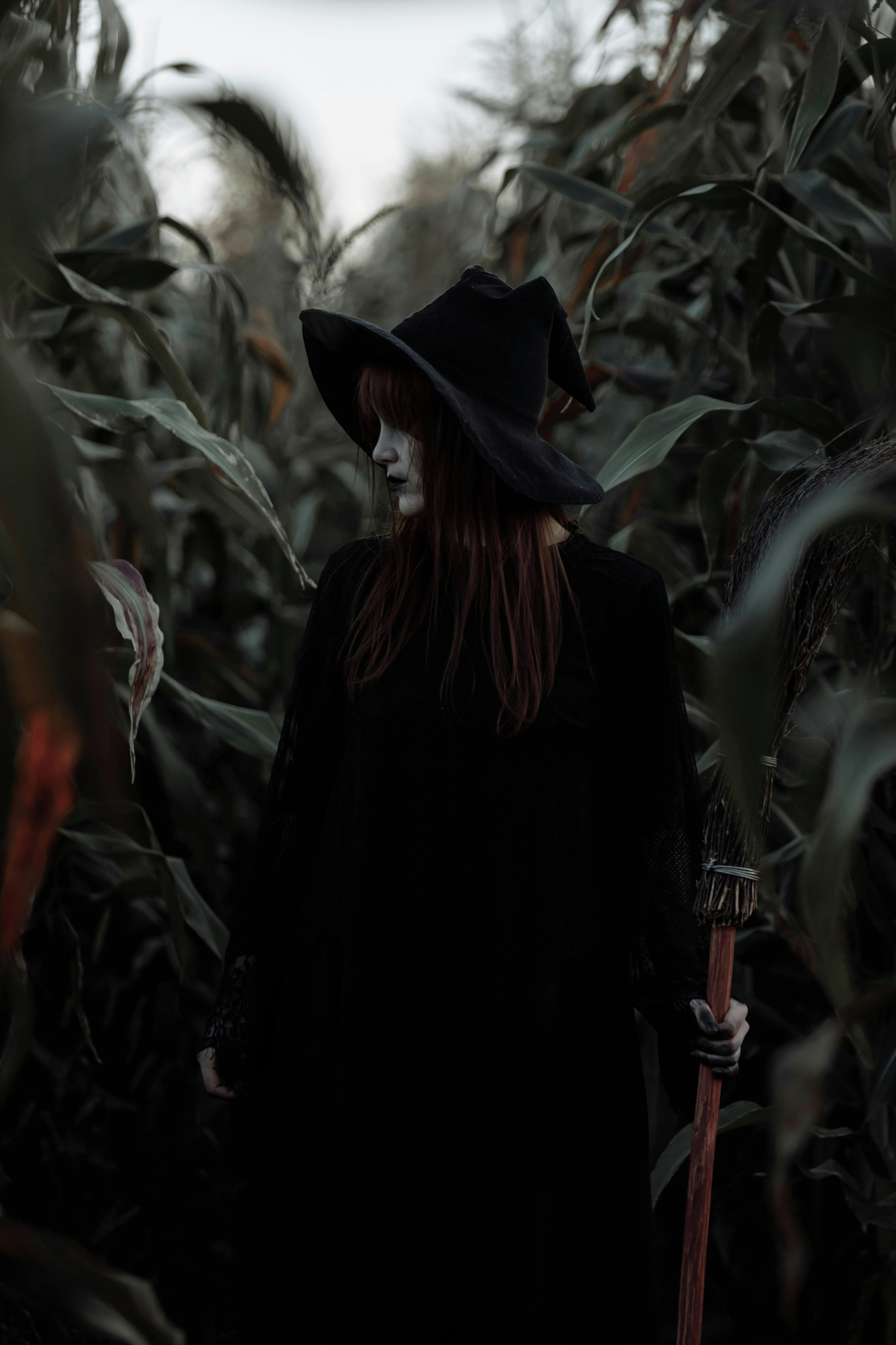 5L SO5N - HALLOWEEN POEMS - WITCHES episode artwork