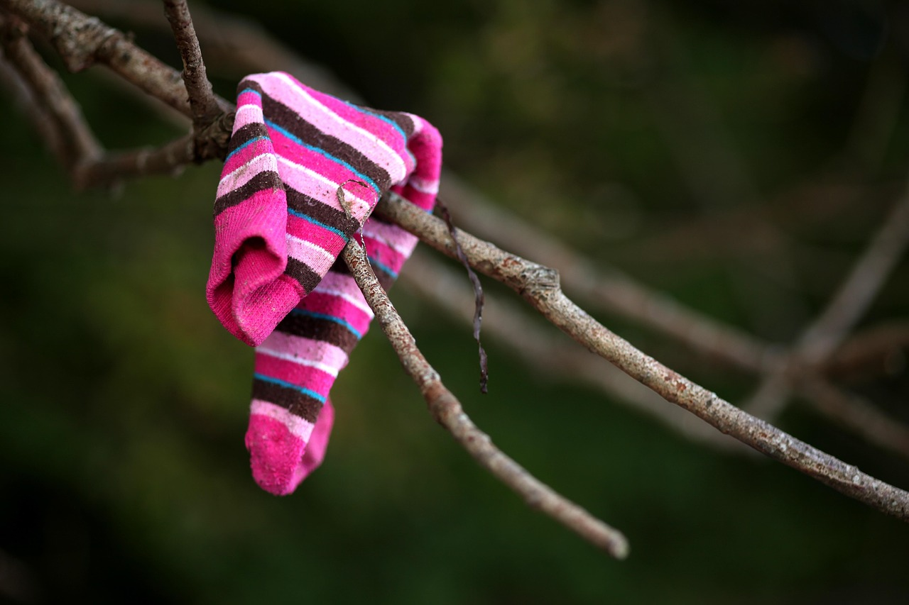 5L SO5N - LOST SOCK SOCIETY episode artwork