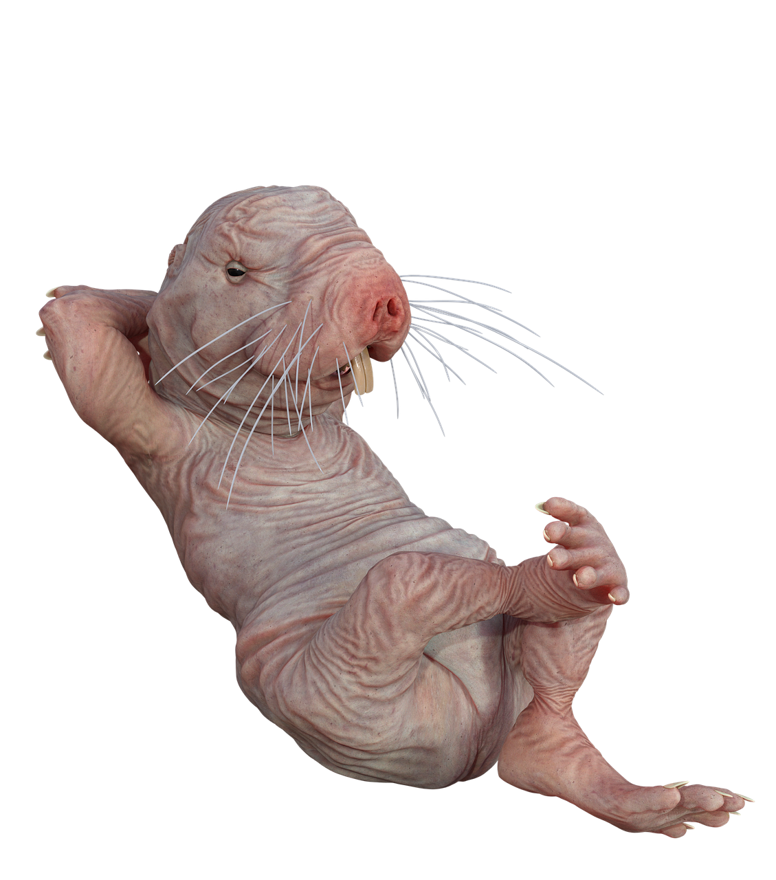 5L NAKED IN PUBLIC episode artwork
