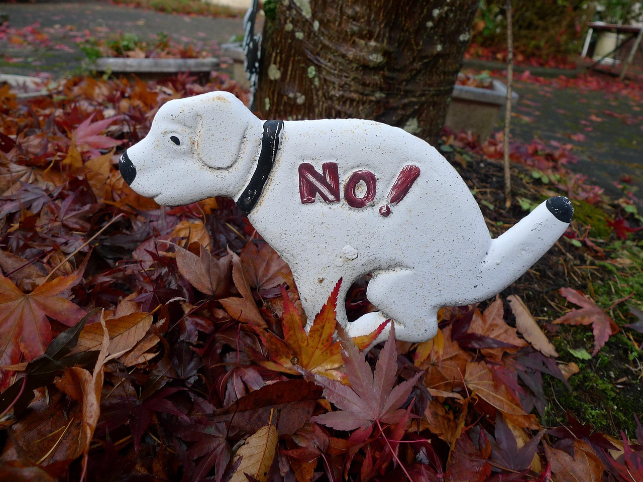 5L WHAT WOULD YOU BAN