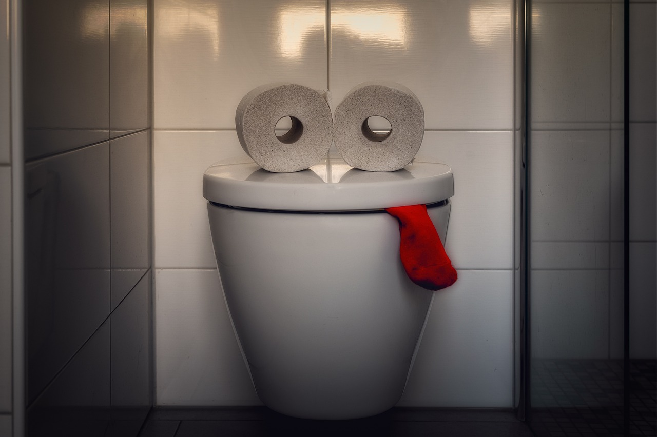 WOULD YOU RATHER - POO ETIQUETTE episode artwork