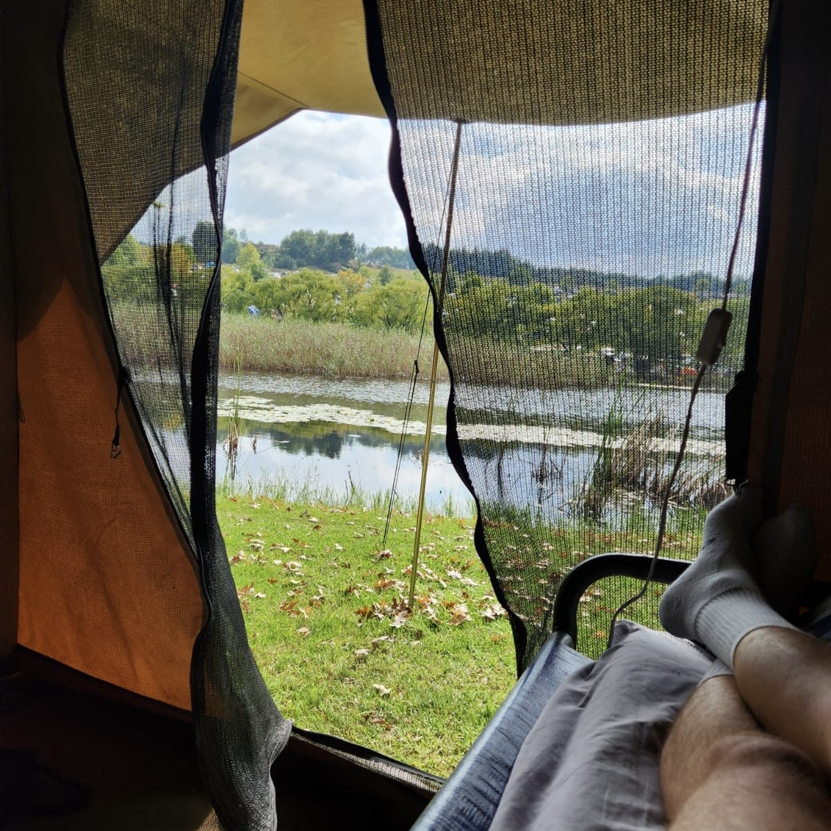 FESTIVAL CAMPING - YOU LOVE IT episode artwork