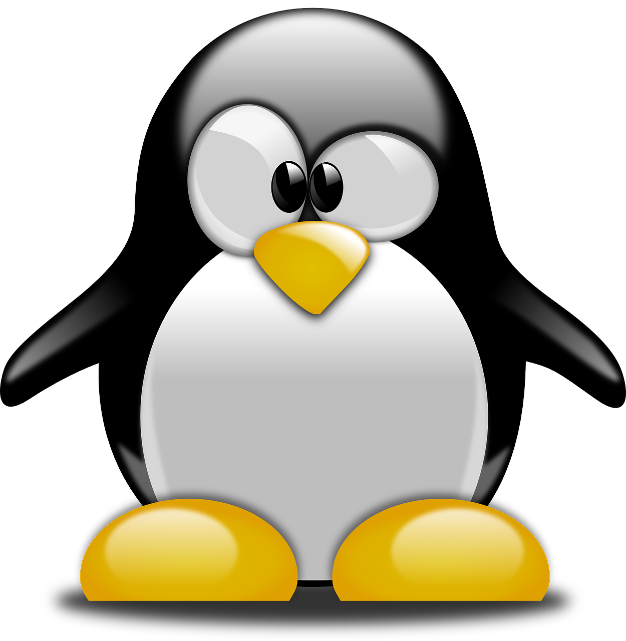 SIMONSTOWN PENGUIN CROSSING episode artwork