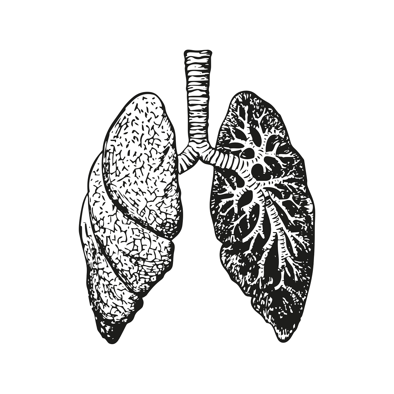 WOULD YOU RATHER - SELL AN ORGAN episode artwork