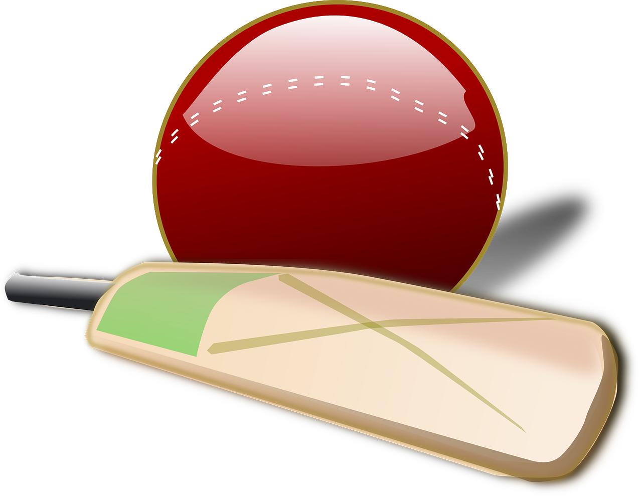 WILL PROTEAS WIN THE CRICKET WORLD CUP? episode artwork