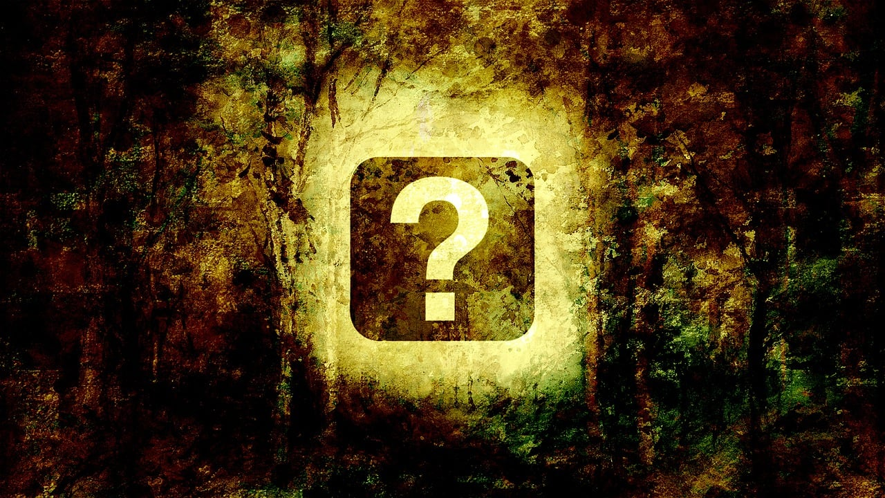 WHAT ARE YOU HIDING? episode artwork