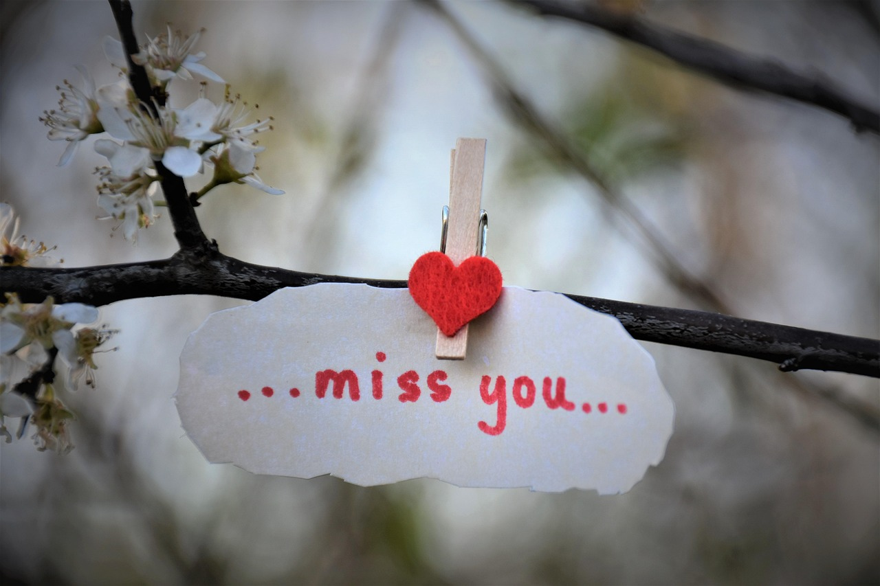 WOULD YOU RATHER - MISS YOU episode artwork