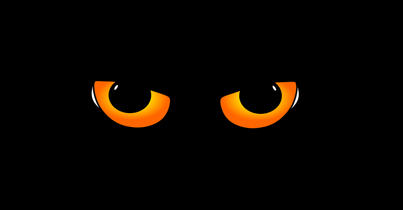IS IT AN ANIMAL OR IS IT A HUMAN? episode artwork