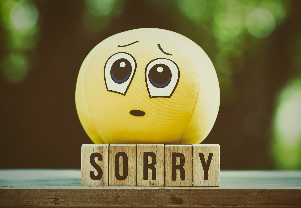 HOW OFTEN DO YOU SAY SORRY? episode artwork