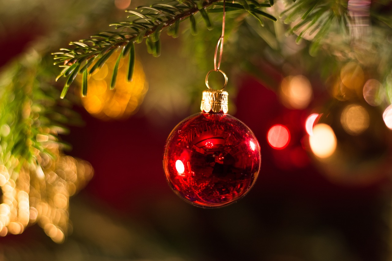 HATE IT OR RATE IT - CHRISTMAS TREES IN NOVEMBER episode artwork