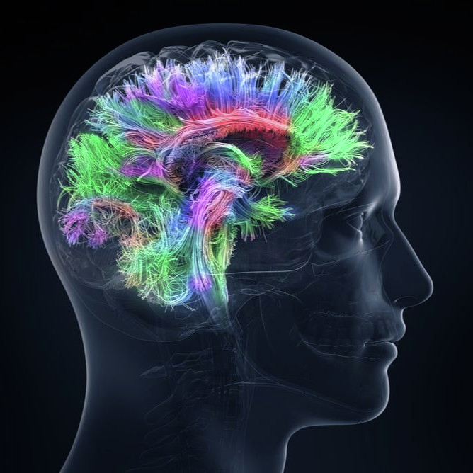 Wat is Funksionele neurologiese versteuring? (Deel 2)