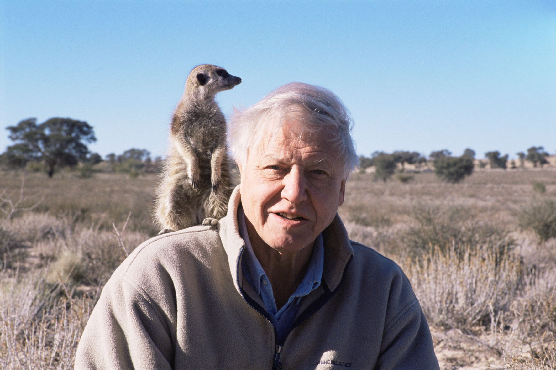 David Attenborough word 100: Die stem wat die wêreld geleer het om na die natuur te luister