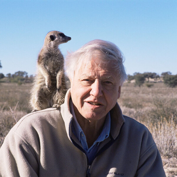 David Attenborough word 100: Die stem wat die wêreld geleer het om na die natuur te luister