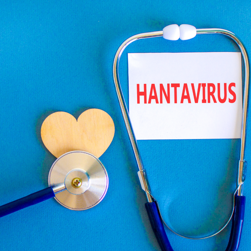 Hantavirus op see: Moet plesiervaarte ons bekommer?