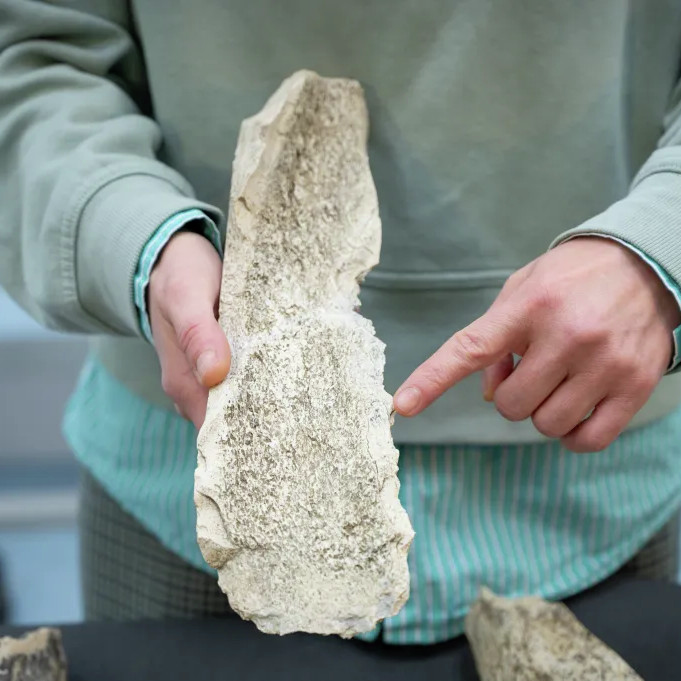 Kan dit waar wees? Oermense braai in Afrikabos