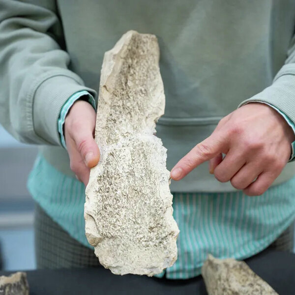 Kan dit waar wees? Oermense braai in Afrikabos