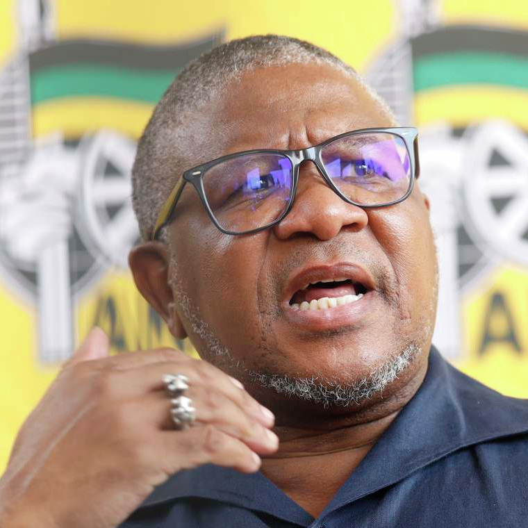 ‘Mbalula moet tjoekie toe, Amerika moet sanksies instel’