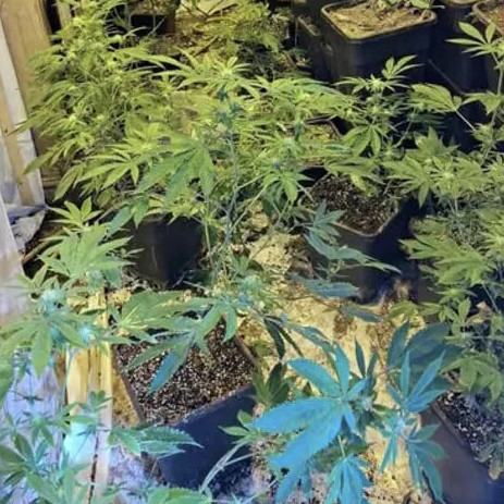 Daggaverrassing by nuwe huis