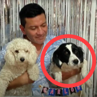 Hond ontlont dinamiet episode artwork