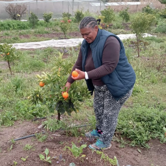 Merle se liefde vir tuinbou episode artwork