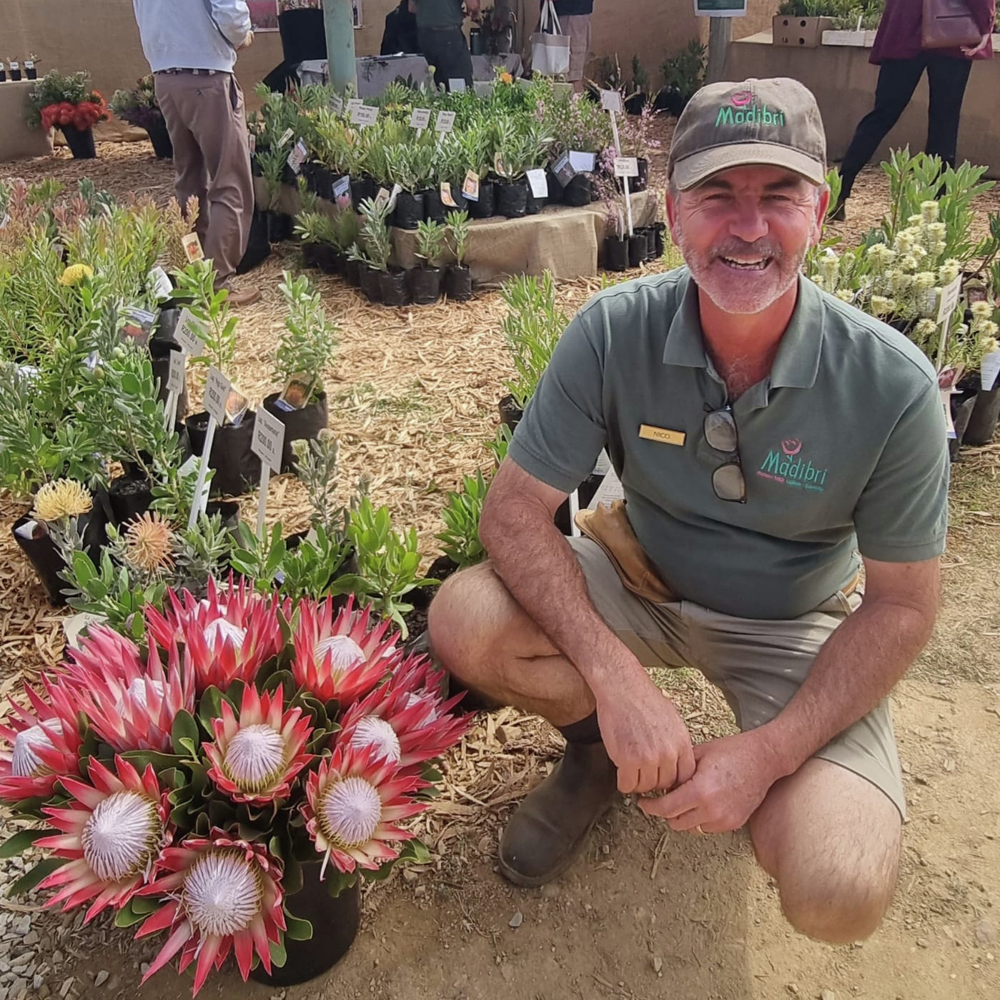 Die erfenis van SA se Ericas, Fynbos en Proteas episode artwork