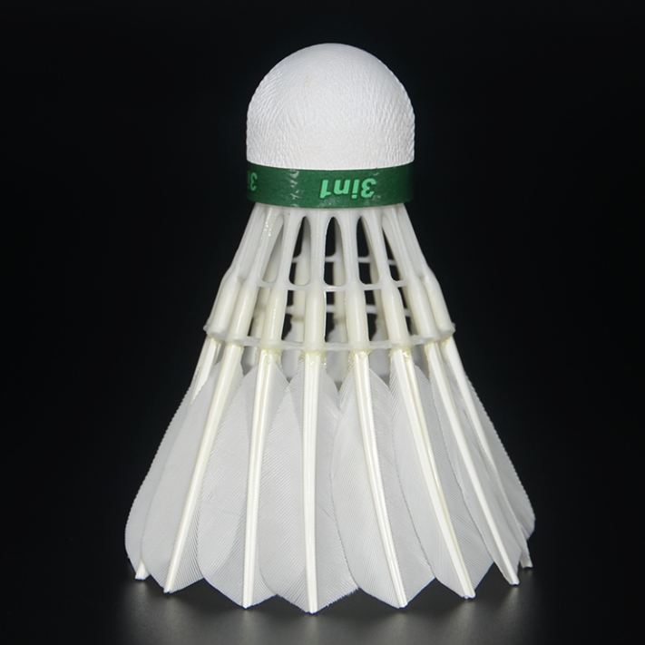 Pluimbal se pluimvee-uitdaging